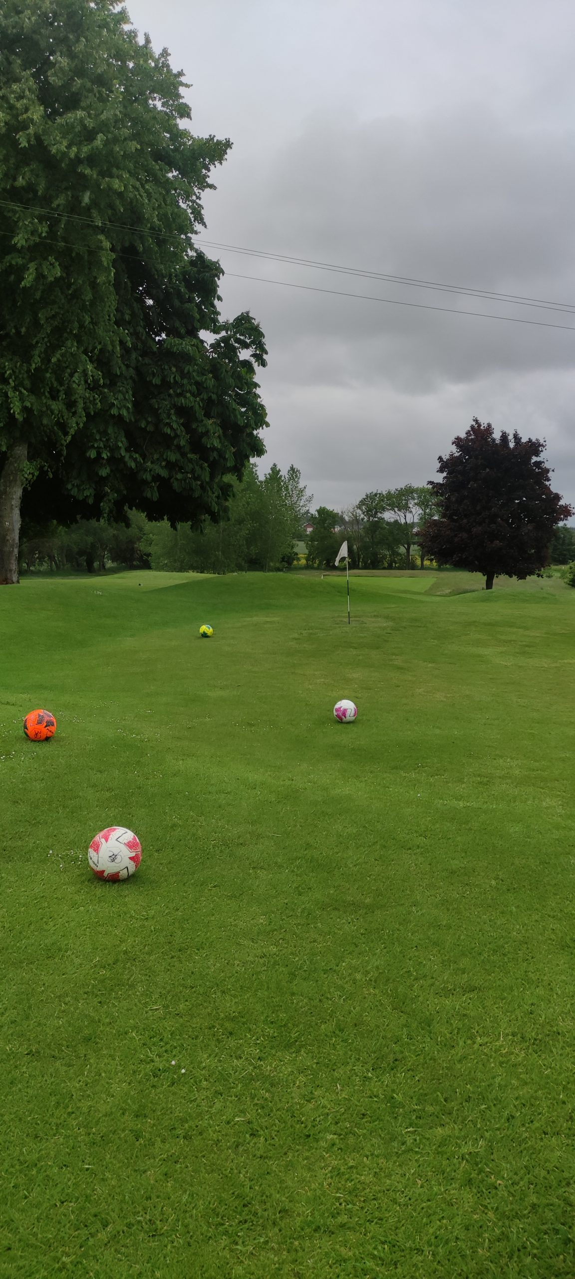 book footgolf kilkenny